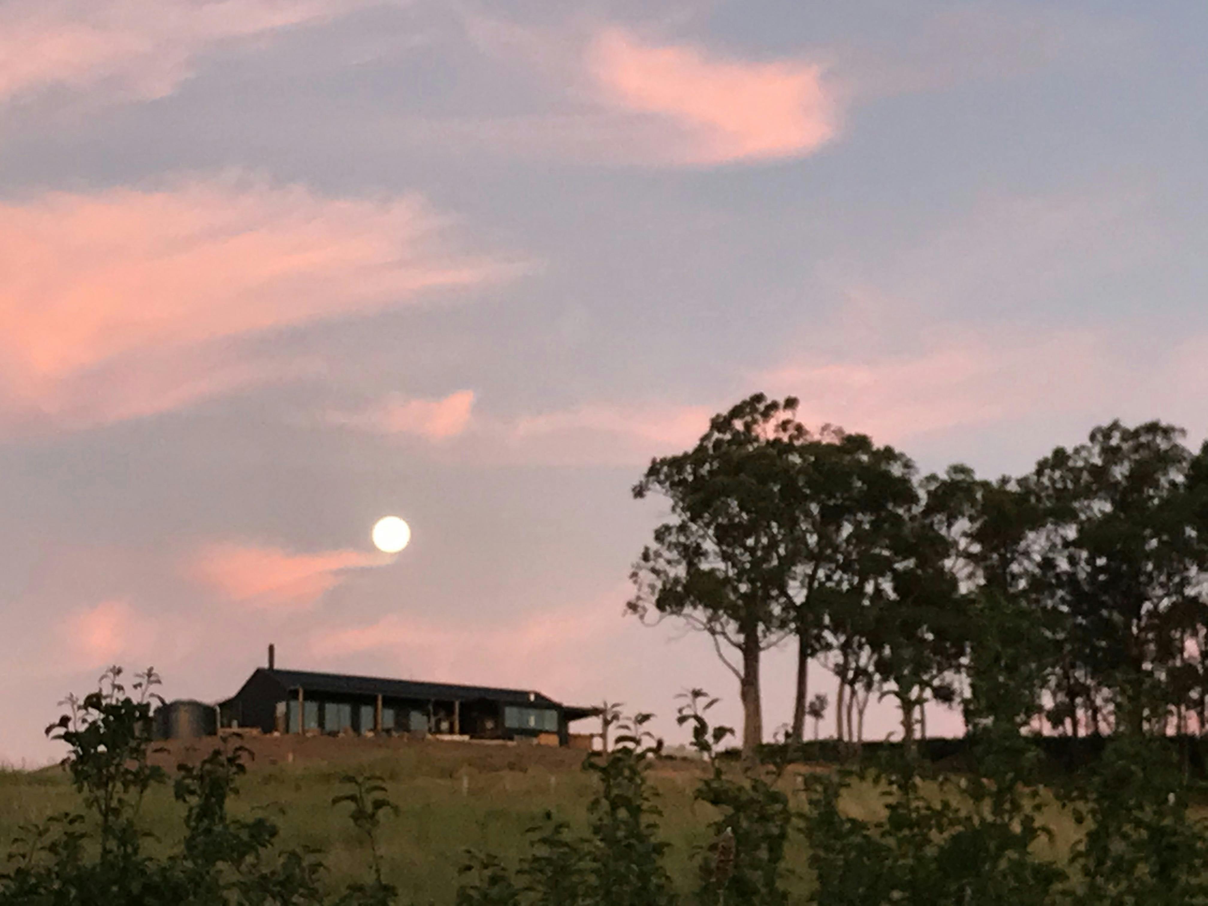 Tagai - Vineyards and Cellar Door