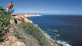 Cape Cuvier Coast
