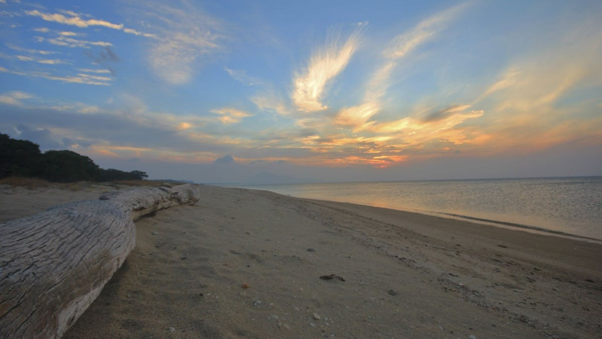 Beach at sunset with whispy clouds in the sky and large log on the beach