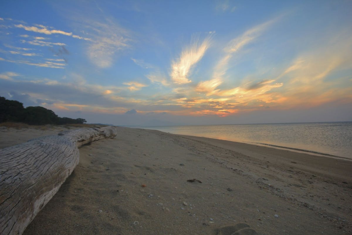 Beach at sunset with whispy clouds in the sky and large log on the beach
