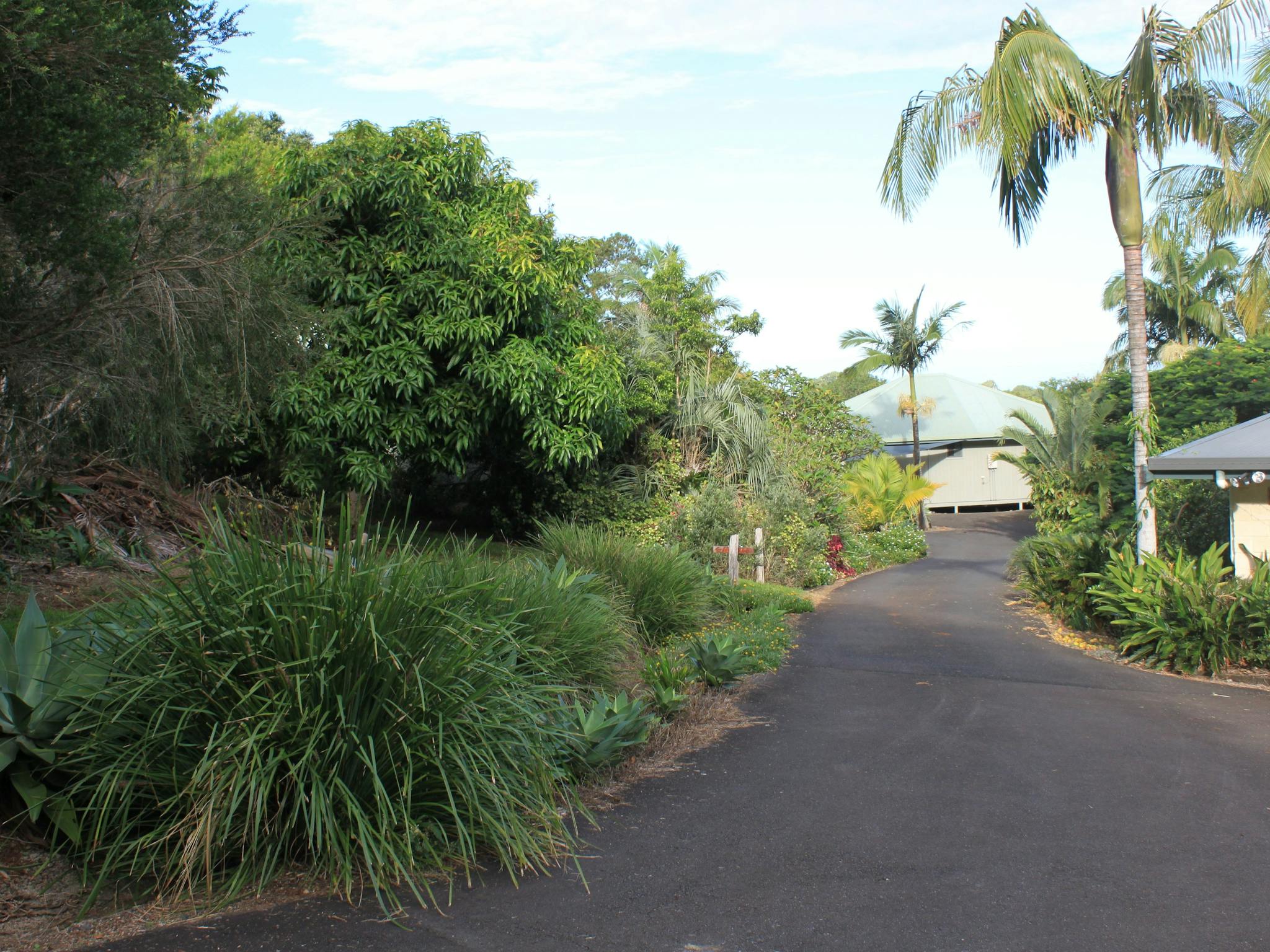 Driveway and gardens