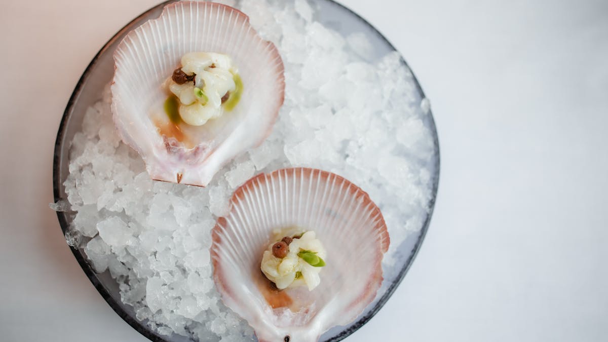 Scallop ceviche