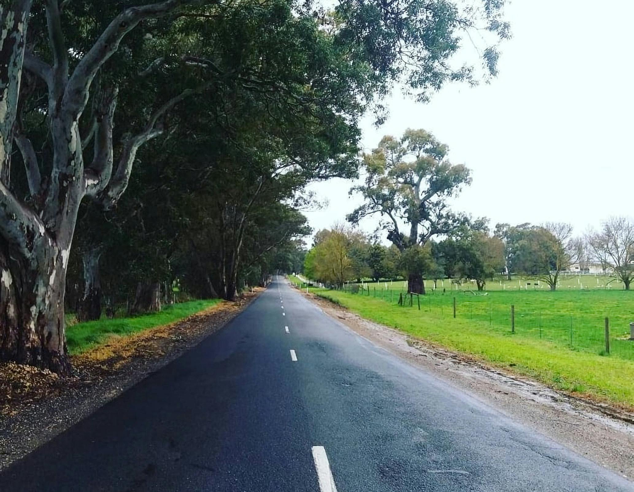 On the to Henshke Wines in Eden Valley on a rainy summer day