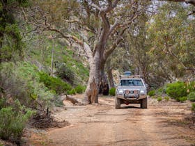 4WDing at Bendleby Ranges through gum creeks, lookouts and stunning vistas, in the Flinders Ranges