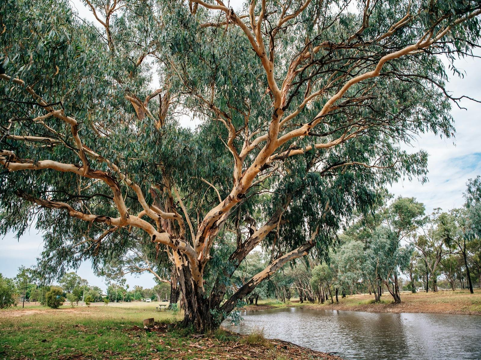 Sadleir's Waterhole