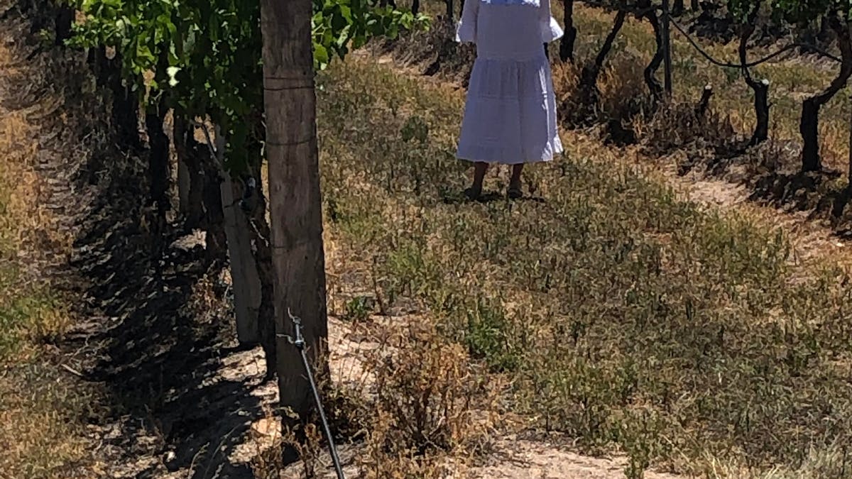 Fancy a walk through the vineyard at your own pace?