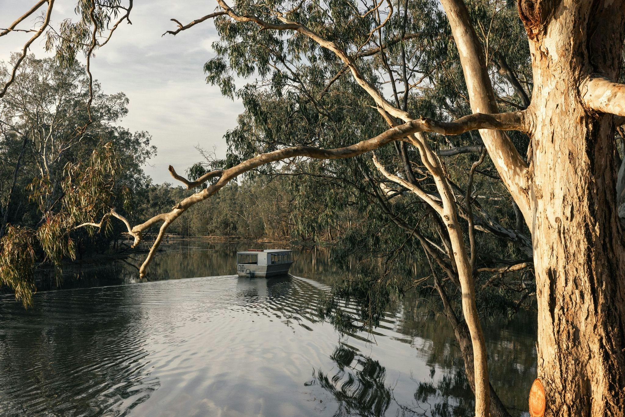image of boat on wetlands