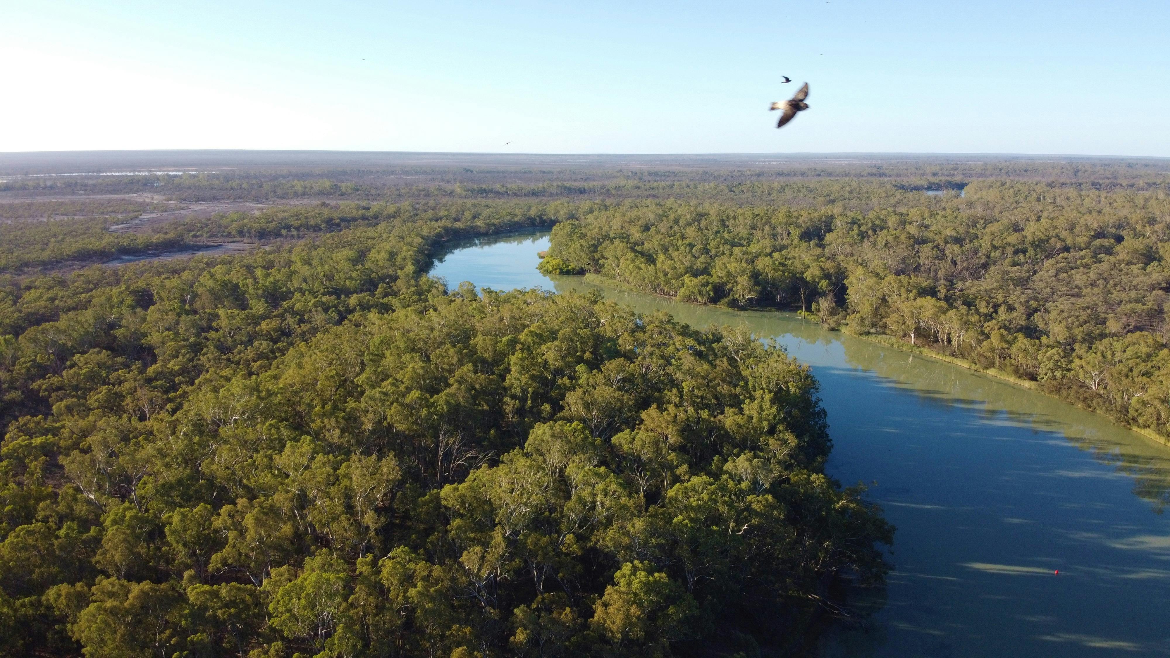 The meandering Murray River
