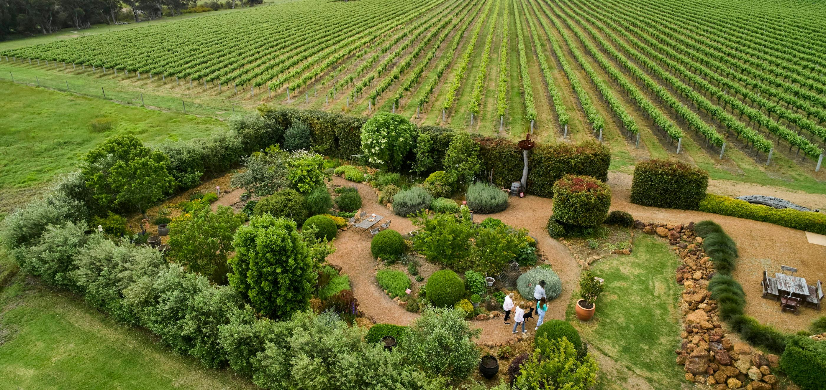 Sensory Garden