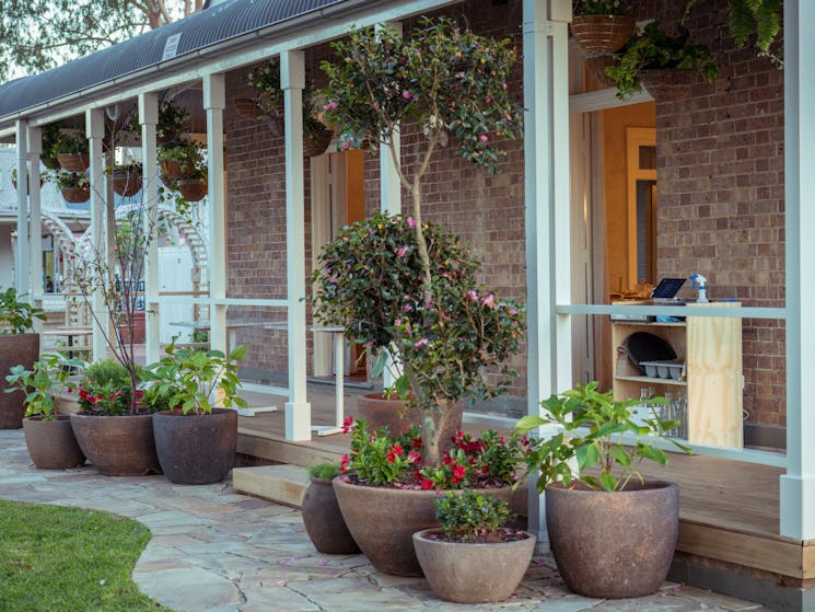 Pots lining path of renovated cottage