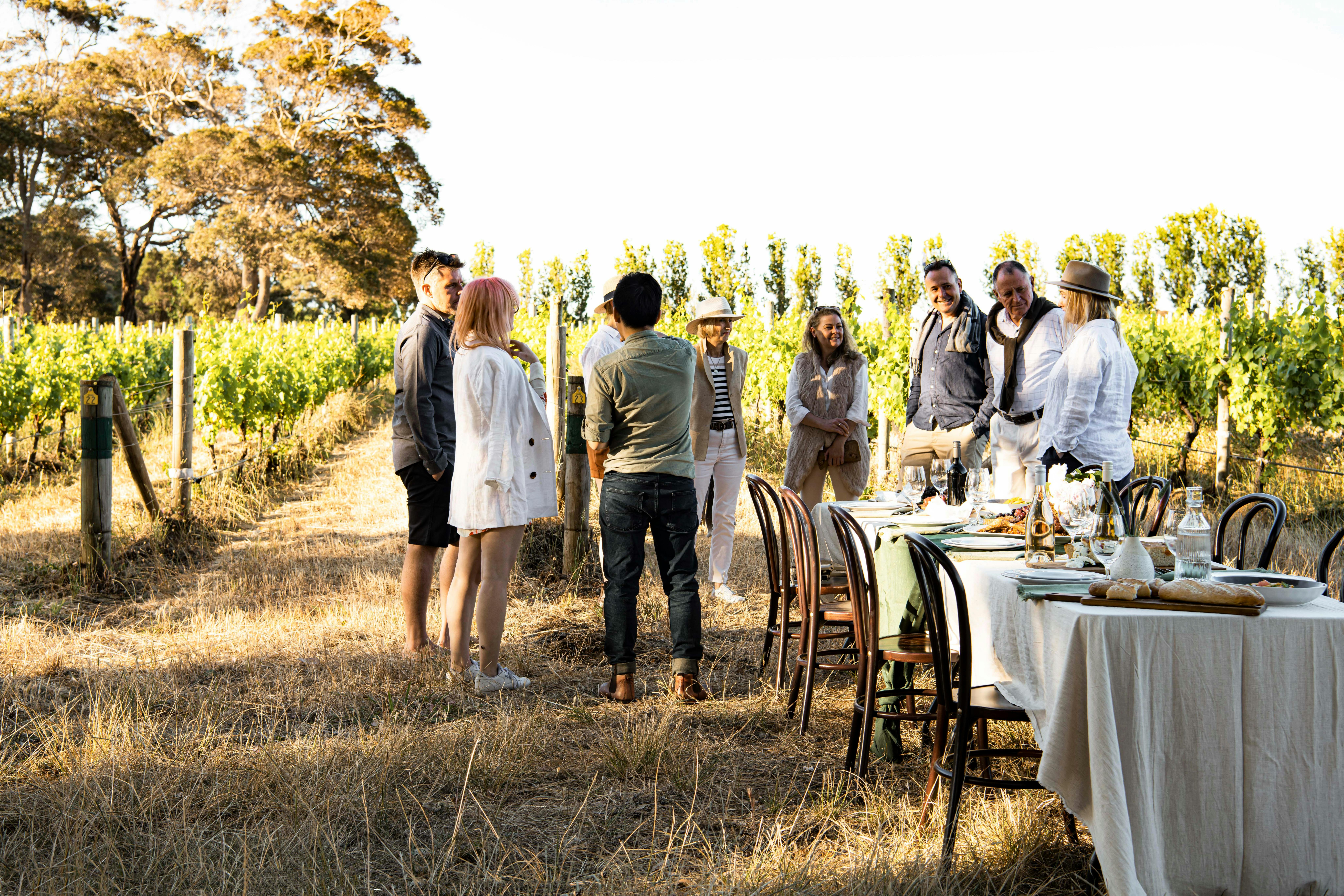 Vineyard feasting