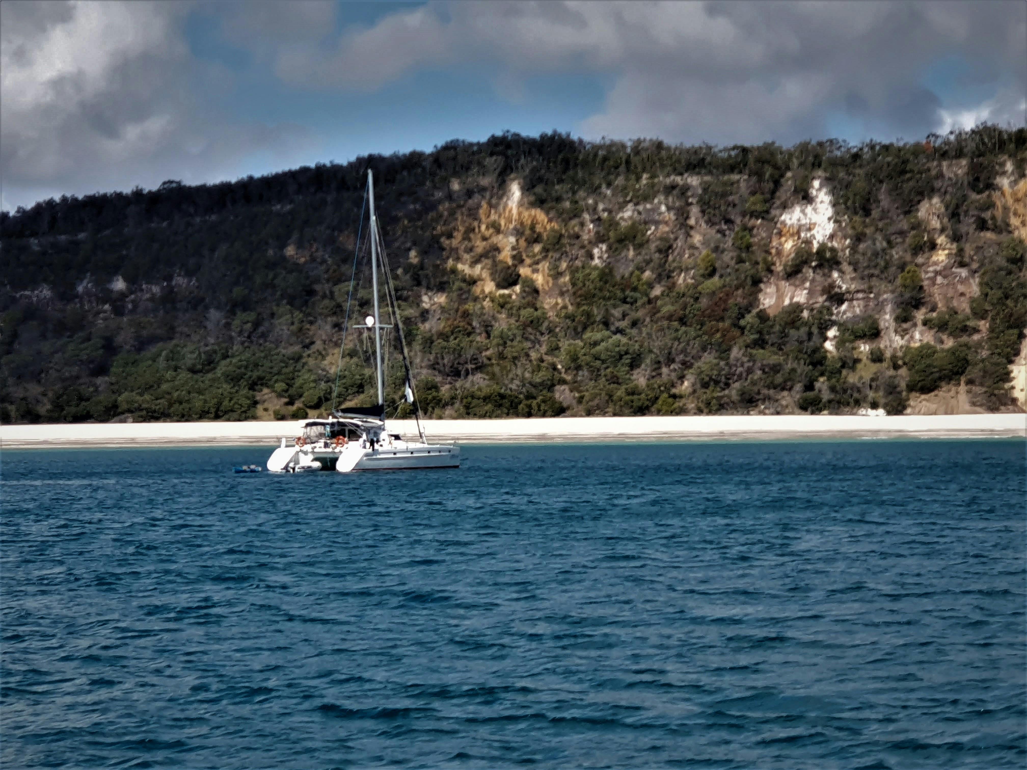 Cattitude Charters