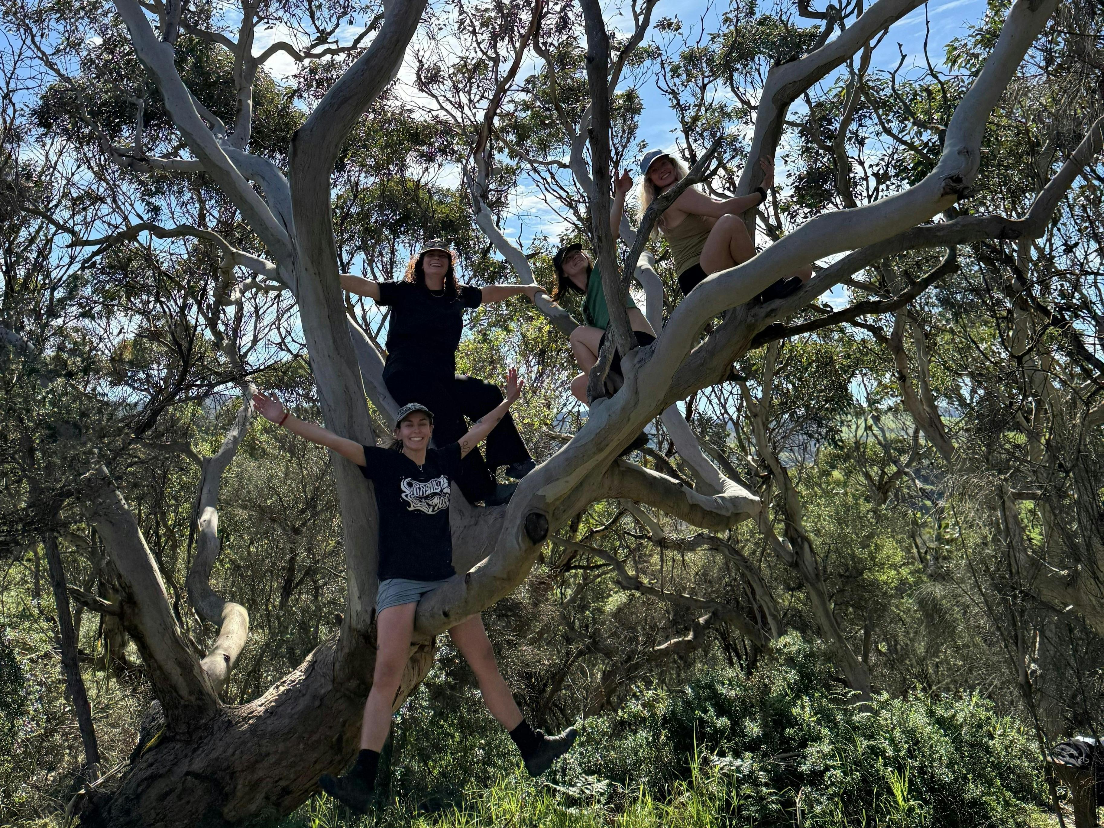 Climbing in the trees a few girls can be found