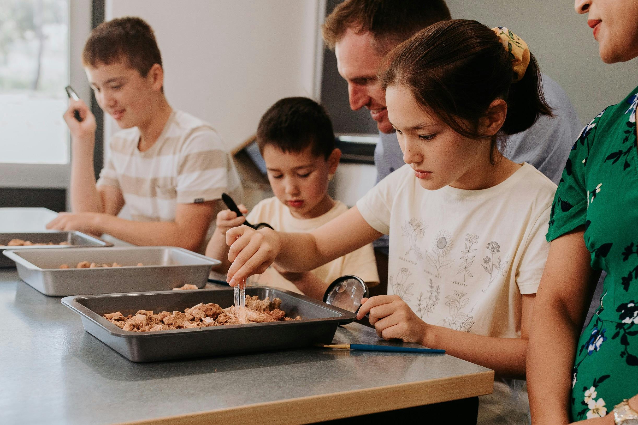 Fossil Discovery Lab