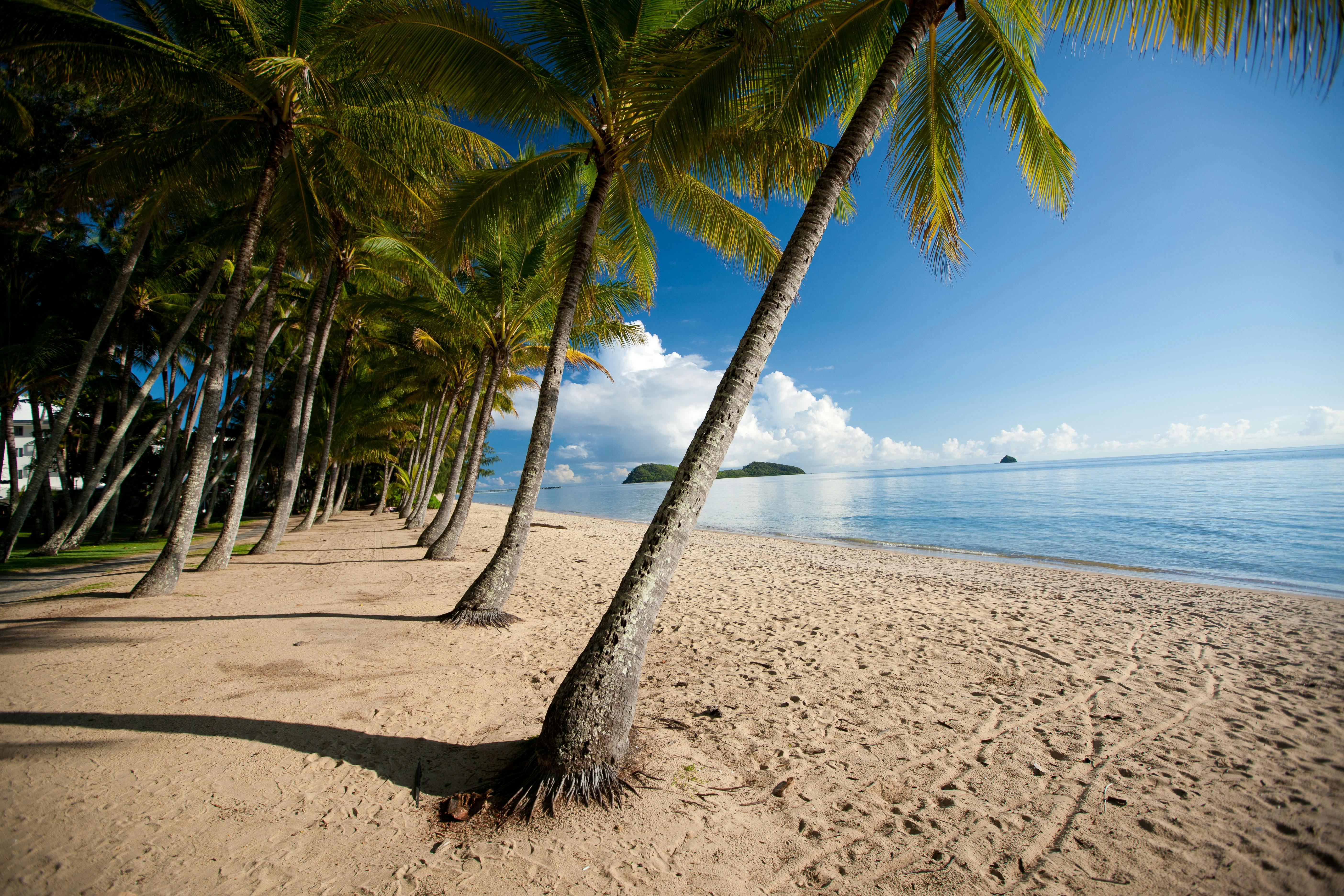 Palm Cove Beach