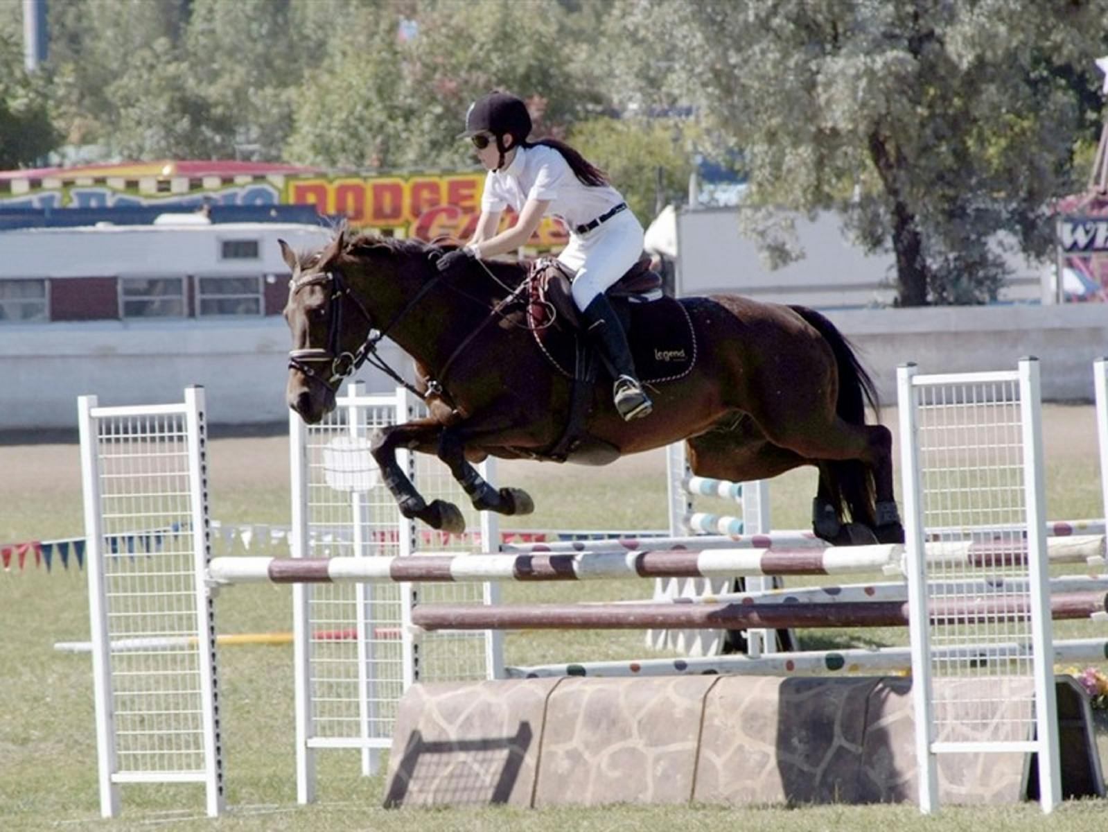 Image for Upper Hunter Regional Show