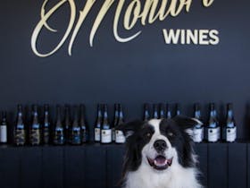 Montoro Wines