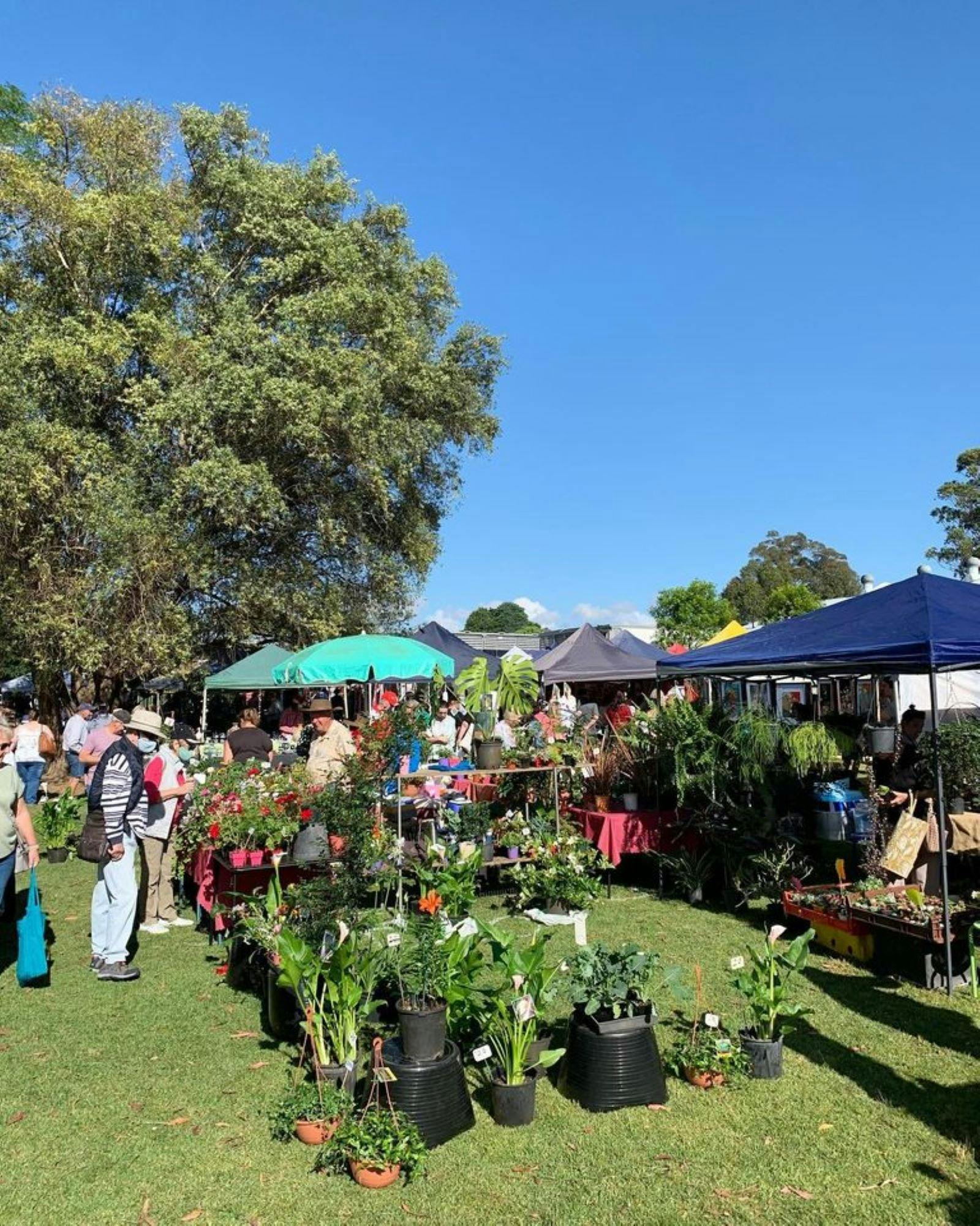 Cobbitty Village Markets