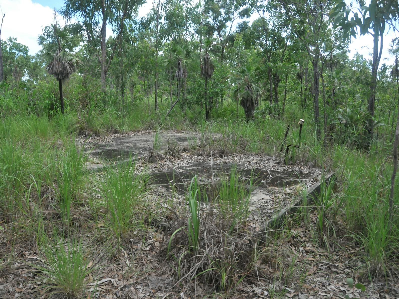 WWII Winnellie Camp