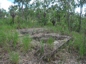WWII Winnellie Camp