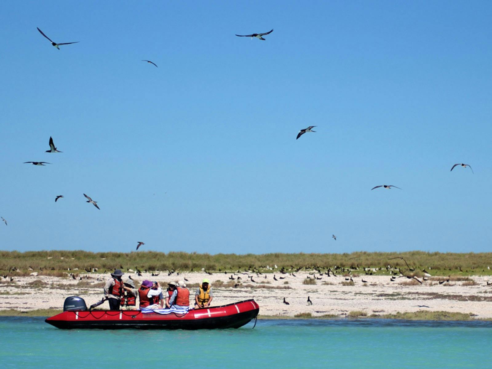 zodiac tender west coast