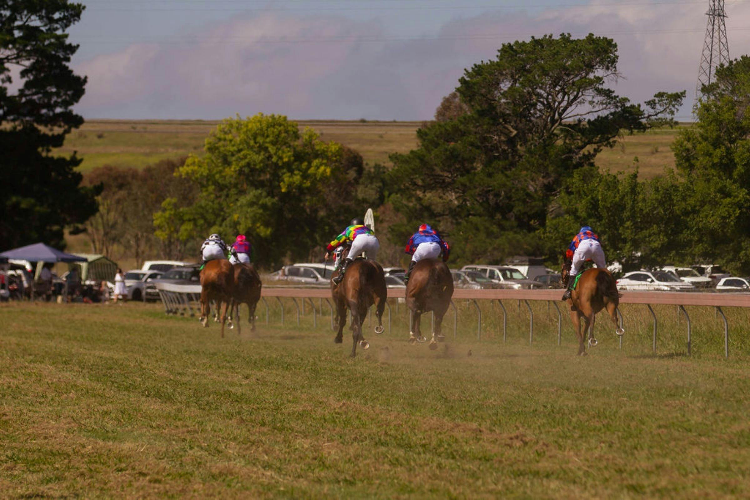 Image for Yass Picnic Races
