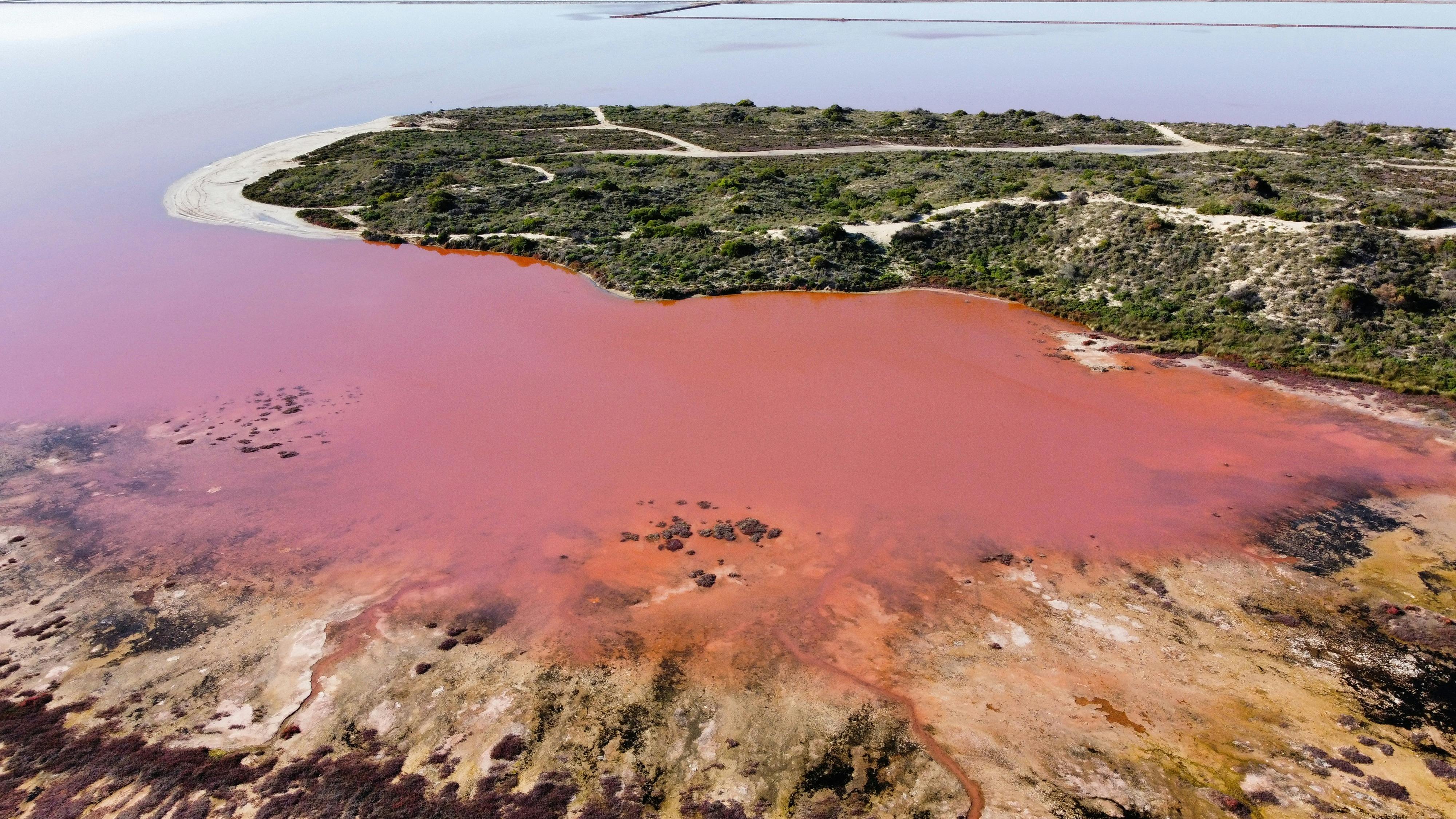 One of the views of the Pink Lake taken on tour