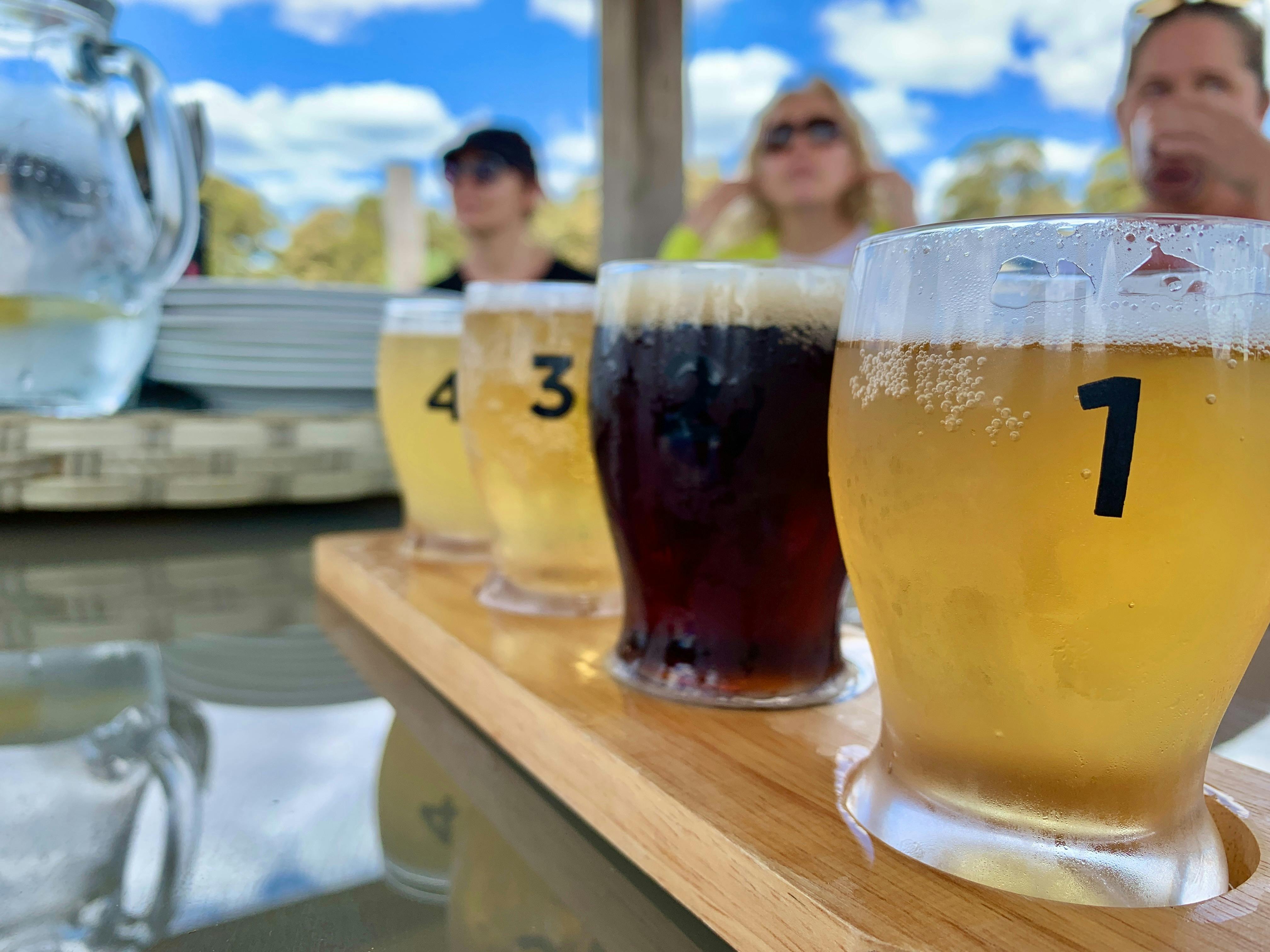 Collie Hike & Paddle Gourmet Grazing Experience