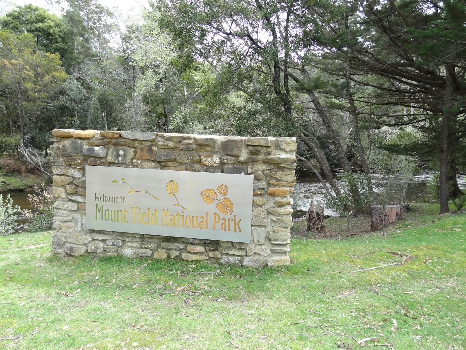 Mt Field National Park