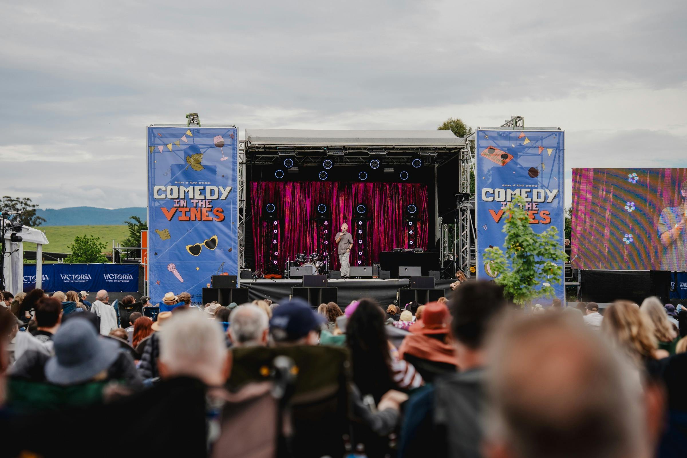 Comedy in the Vines