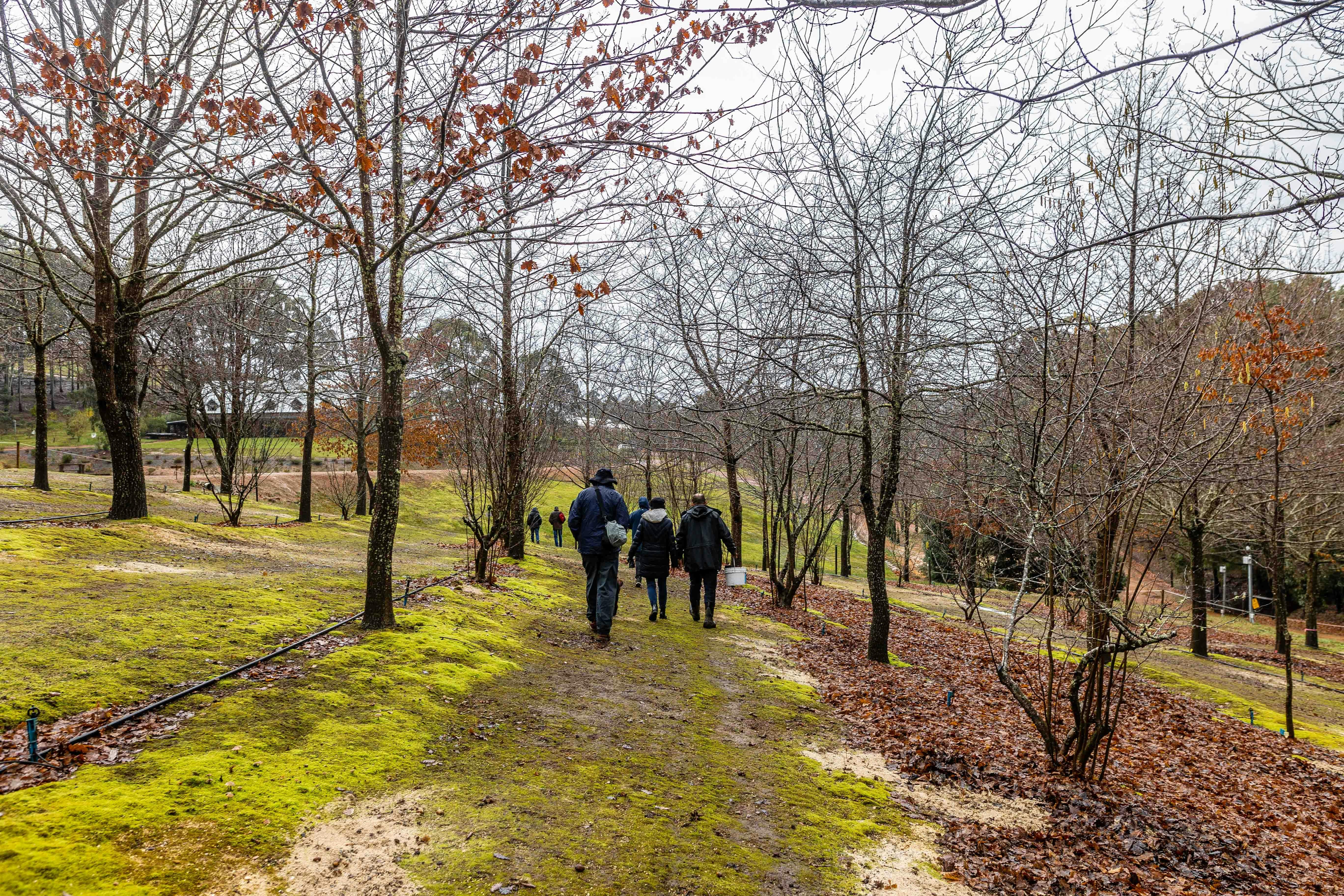 Private group truffle hunt at Stonebarn Lodge