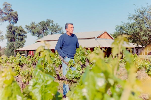 Swan Valley Old Vine Charter