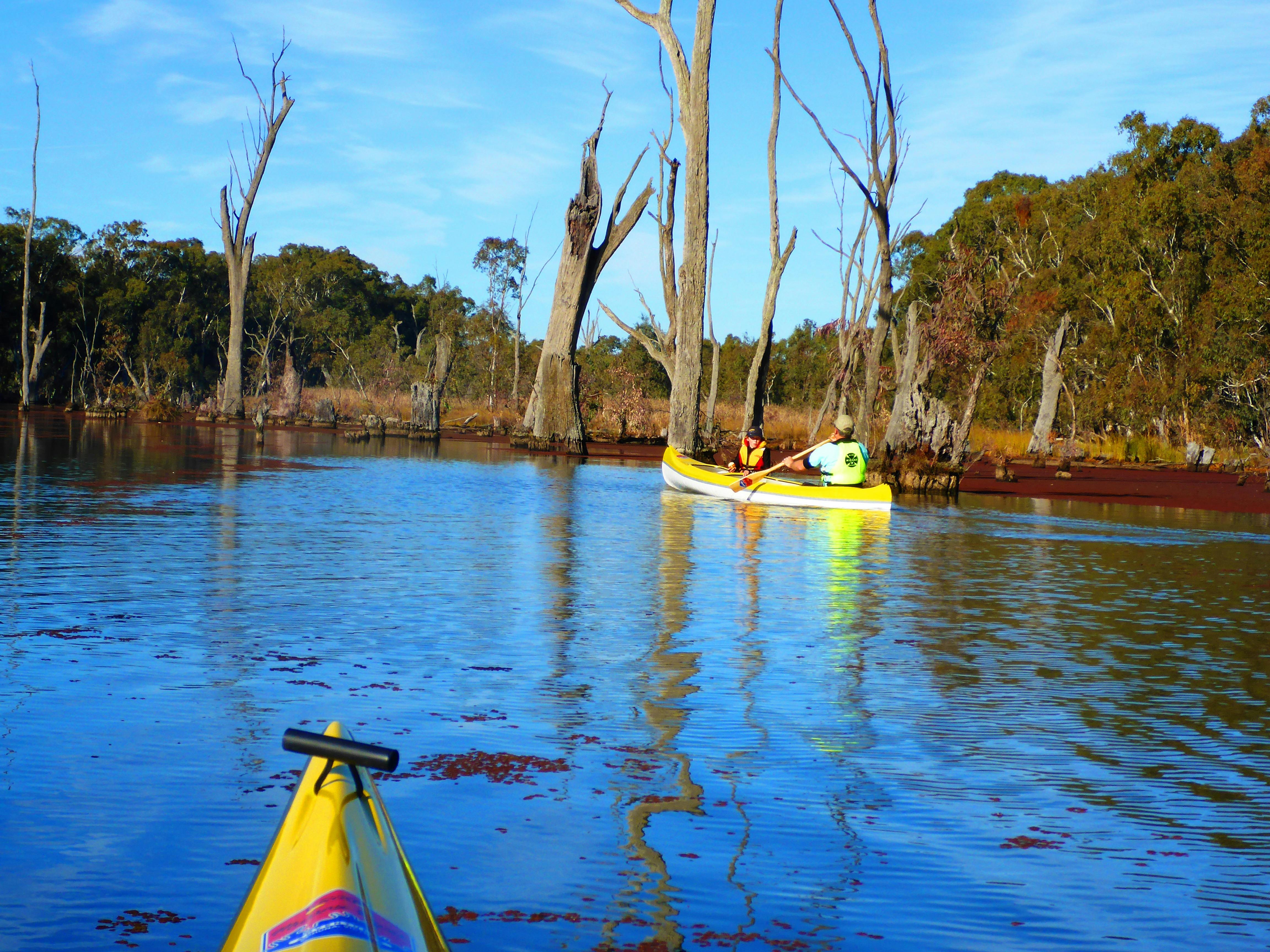Cohuna Lagoon Meander NSW Holidays & Things to Do