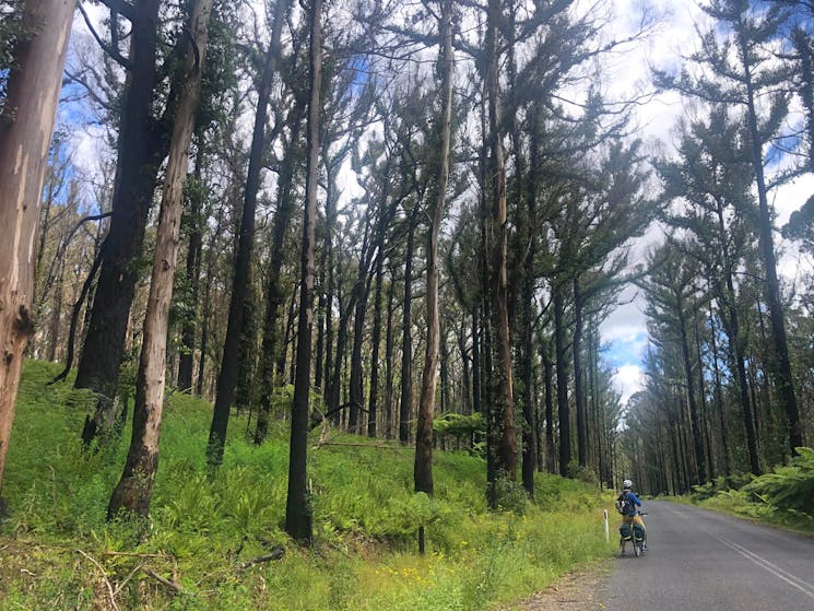 Cycling from Tathra to Jindabyne in the NSW Snowy Mountains on a self guided e-bike tour.