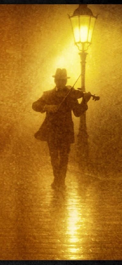 Monsieur Camembert’s Cohen Noir