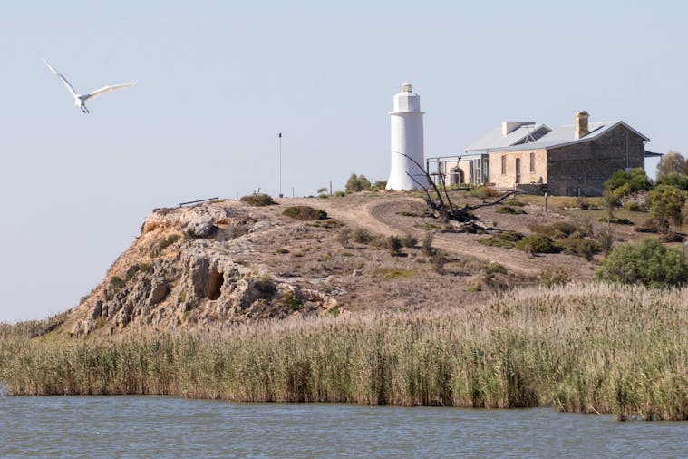 Secrets of the Coorong