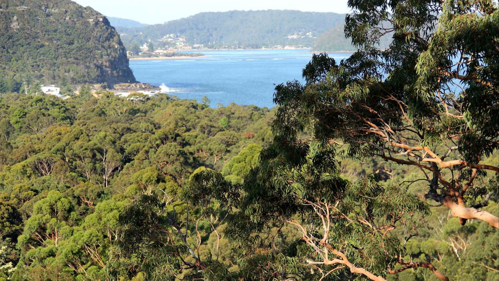 Patonga to Pearl Beach Walking Track
