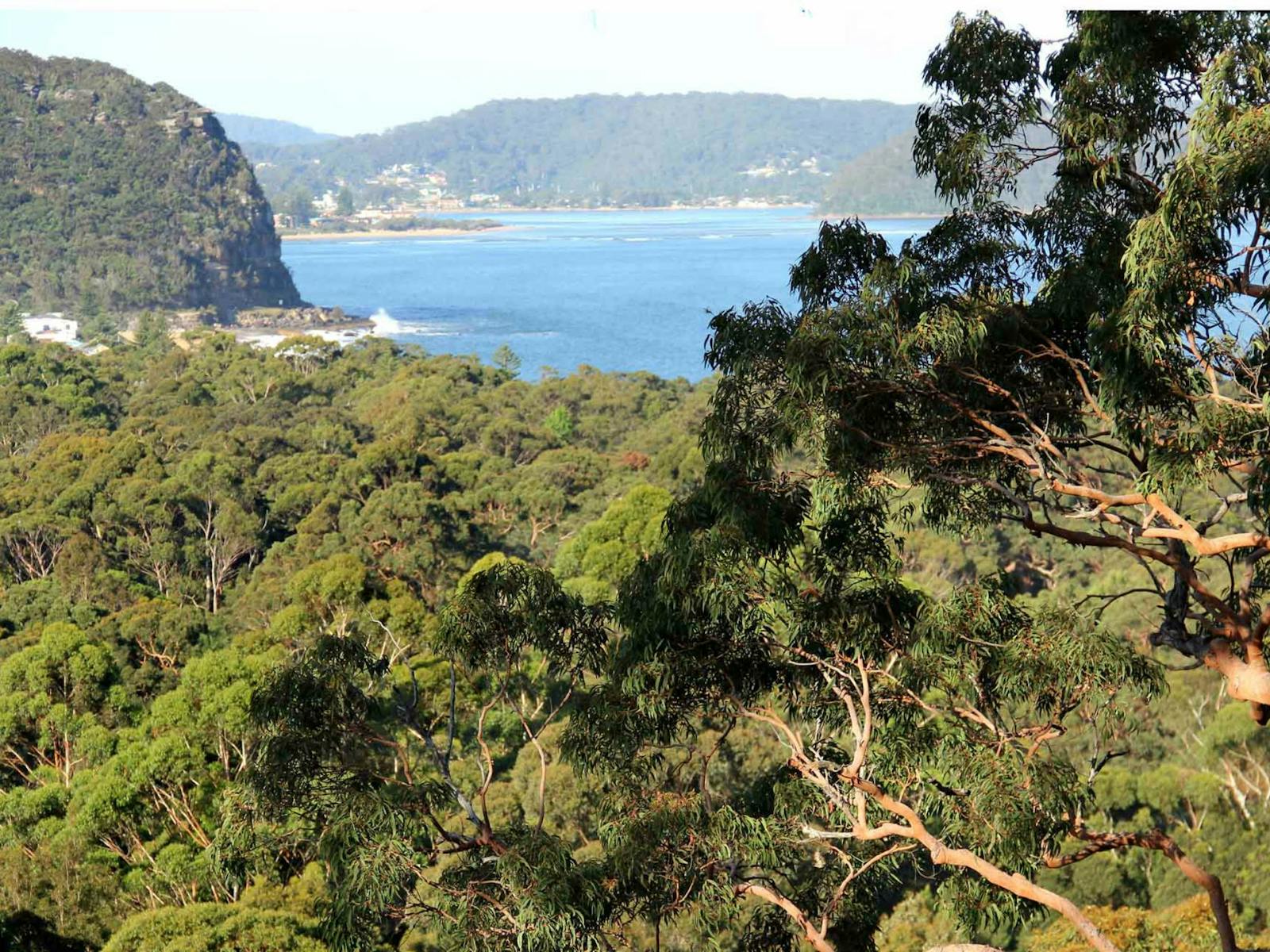 Von Patonga nach Pearl Beach, Brisbane Water National Park, Foto: John Yurasek/NSW Government