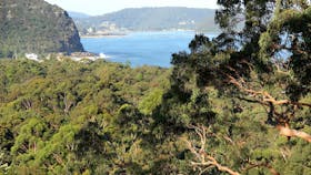 Patonga to Pearl Beach Walking Track