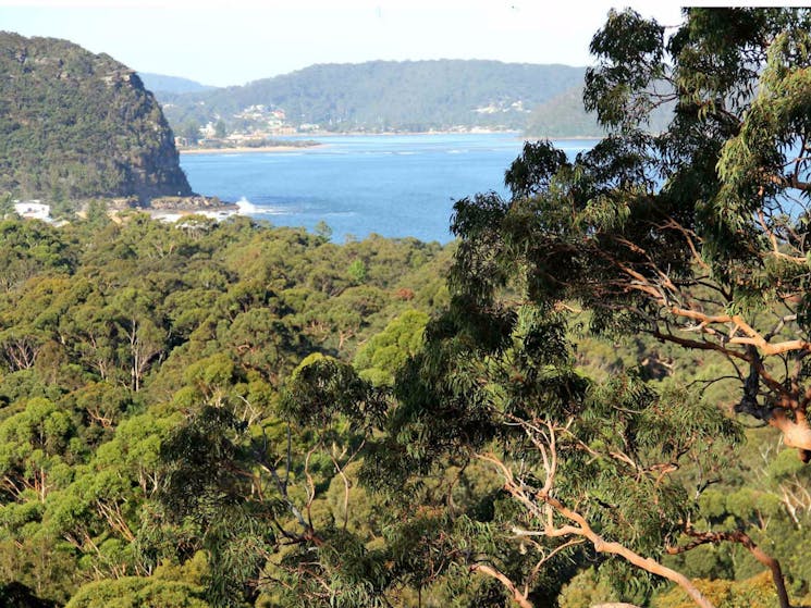 Patonga to Pearl Beach, Brisbane Water National Park, Photo: John Yurasek/NSW Government