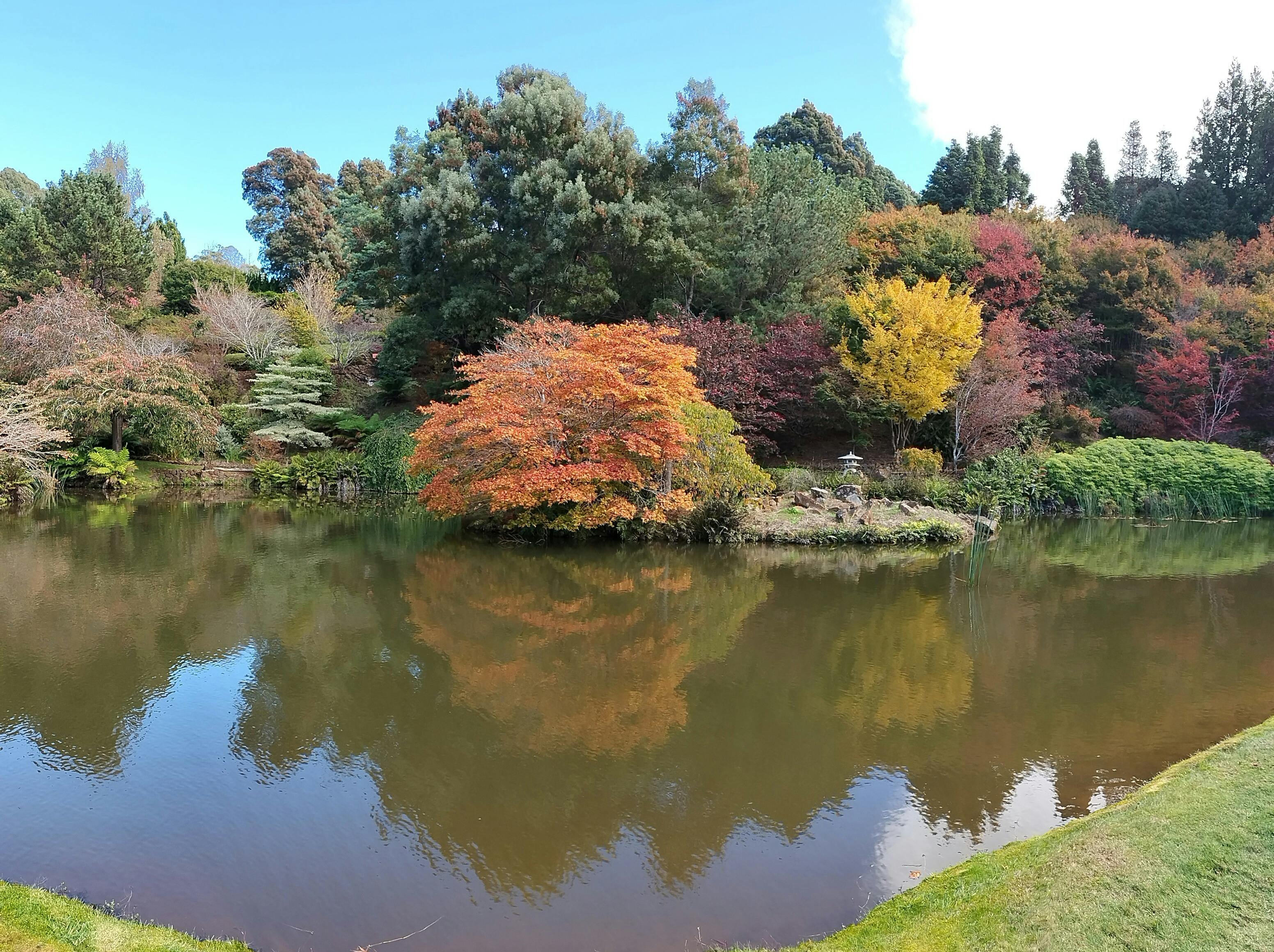 Rhodo Gardens