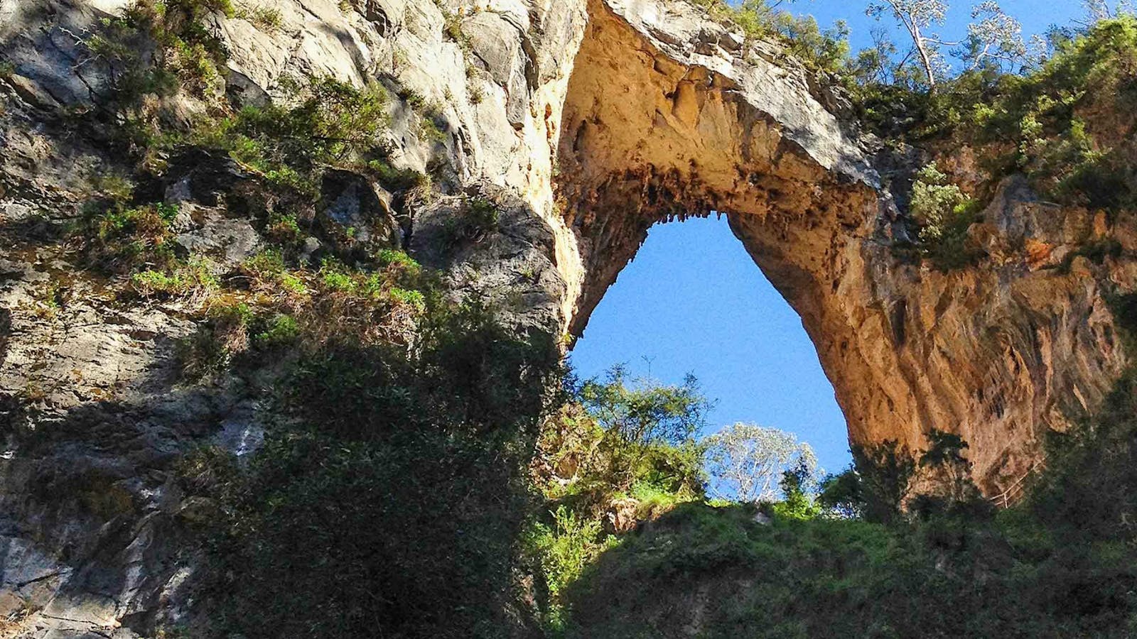 Carlotta Arch walking track