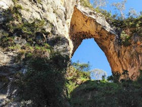 Carlotta Arch walking track