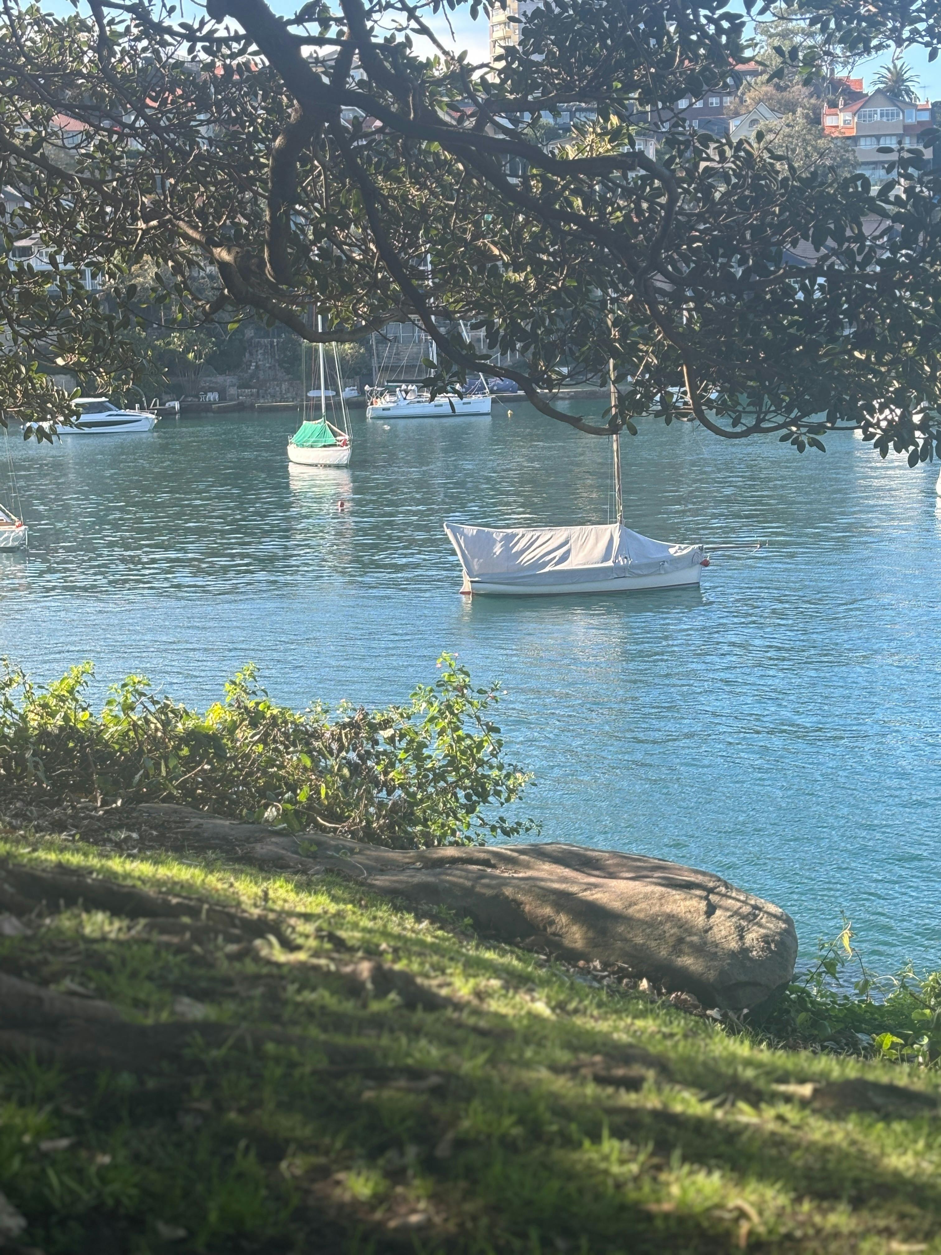 树木环抱着，港湾平静。