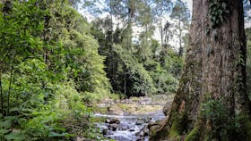 White Rock, Chichester State Forest (Allyn River)