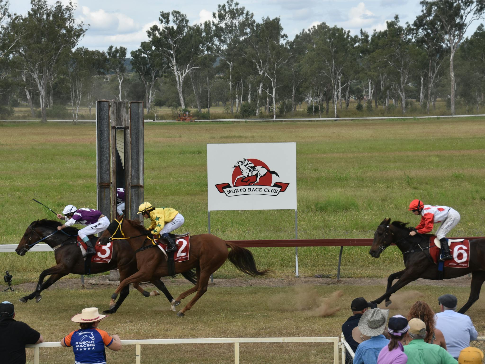Horses going past the finish line