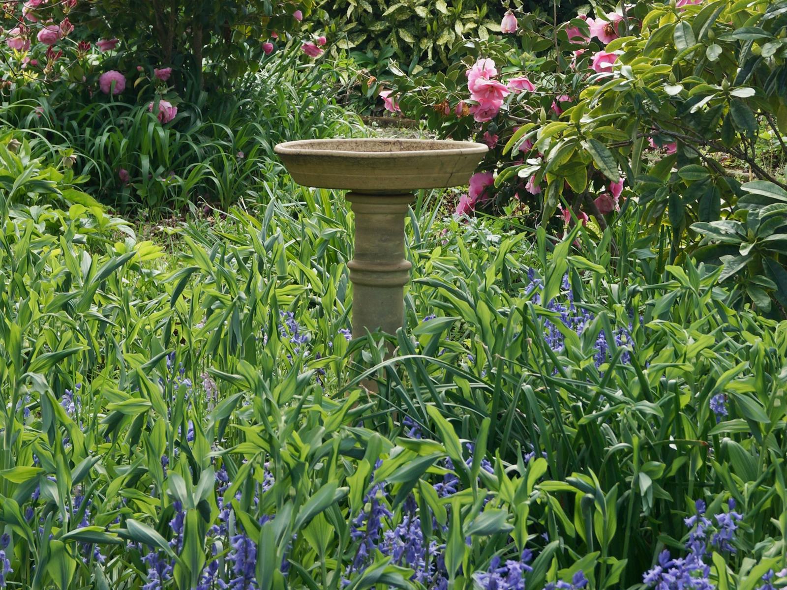 Fountain in wild flowers