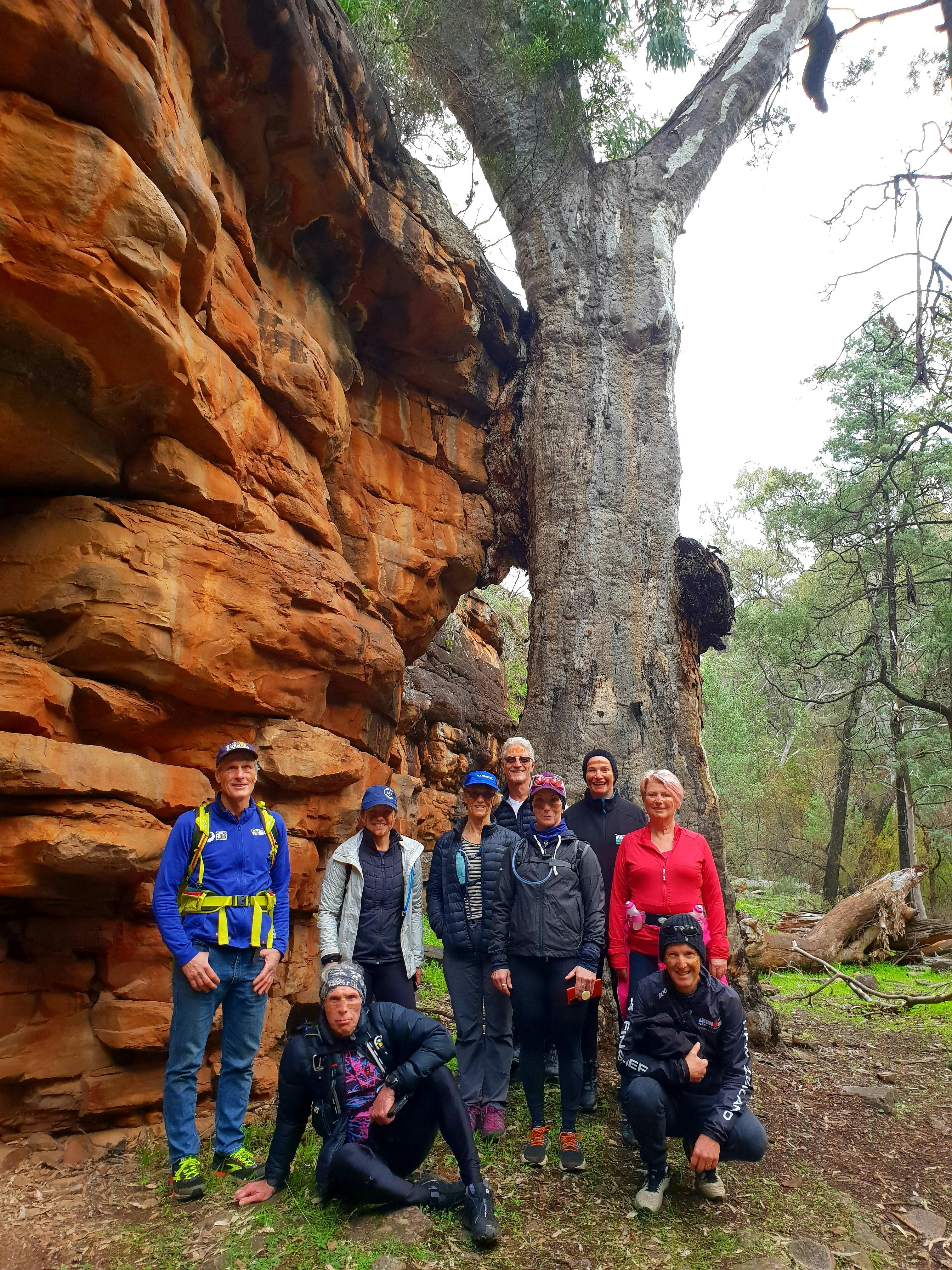 Group next to a large tree holding up rock face