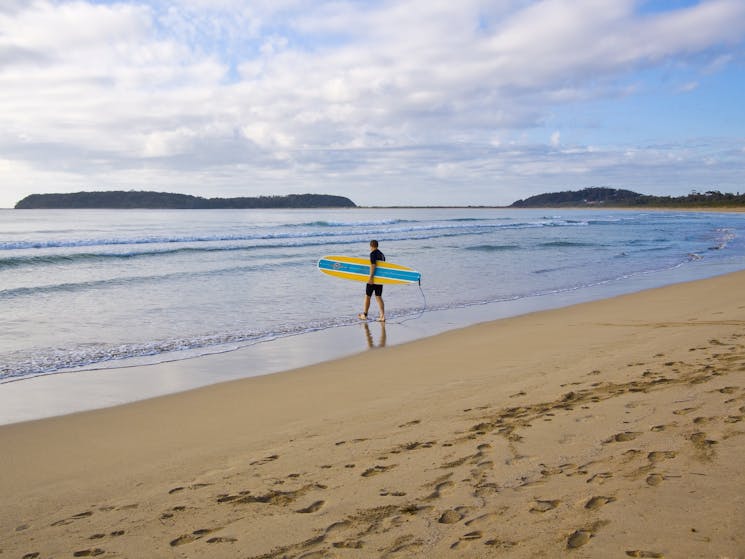 Surfer on Broulee Beach