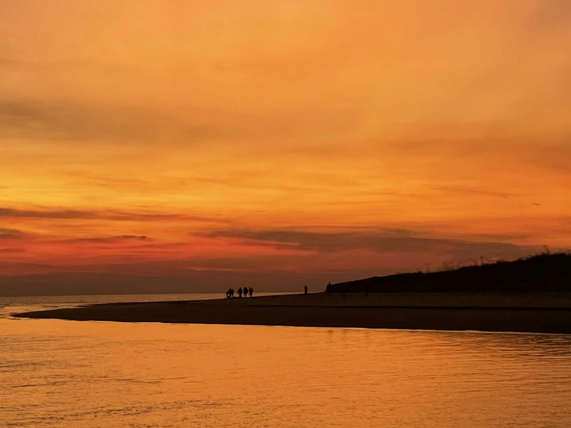 Sunset-Turtle-Tracks